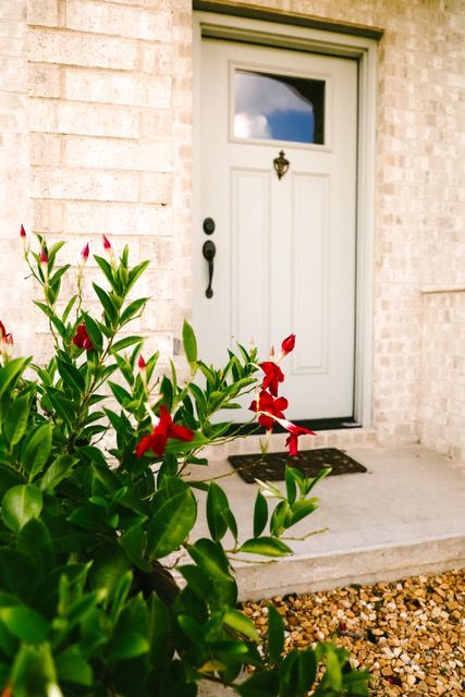 A white door with a window and a plant in front of it.