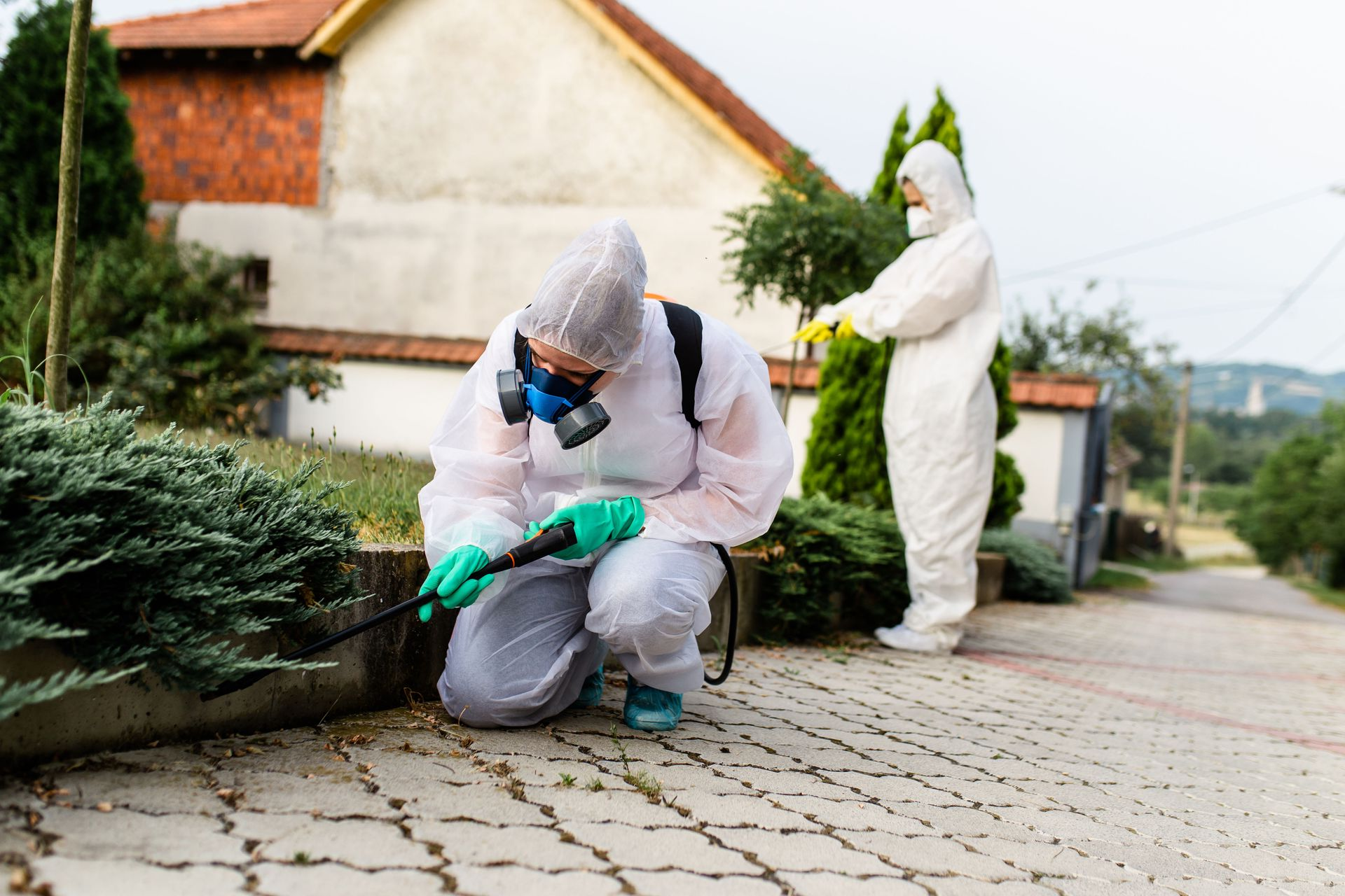 Advantage Pest Control Services LLC