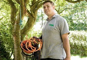 Learn more about Tree removal Tree removal