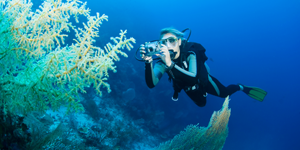 A person taking pictures underwater