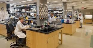 A woman in a lab coat is sitting at a desk in a lab.