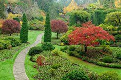 Landscaping design