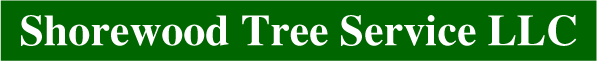 Shorewood Tree Logo