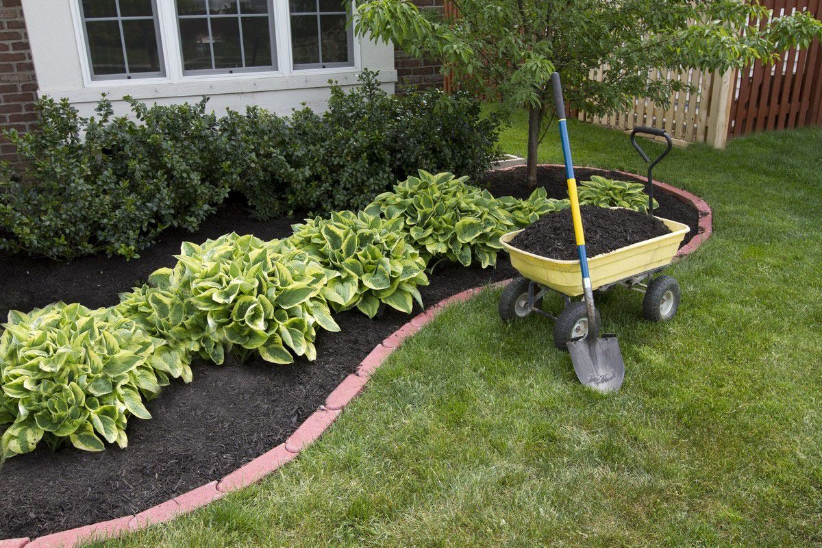 landscaping contractor