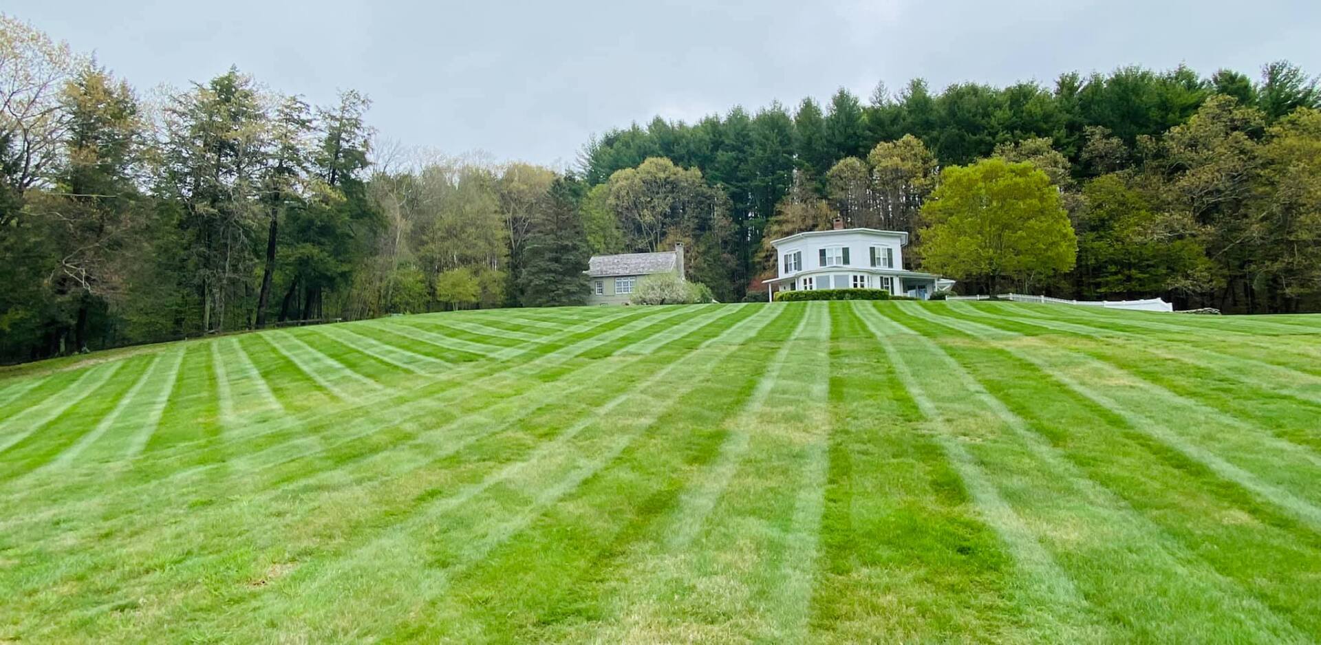 EverGreen Lawn & Landscape recent project