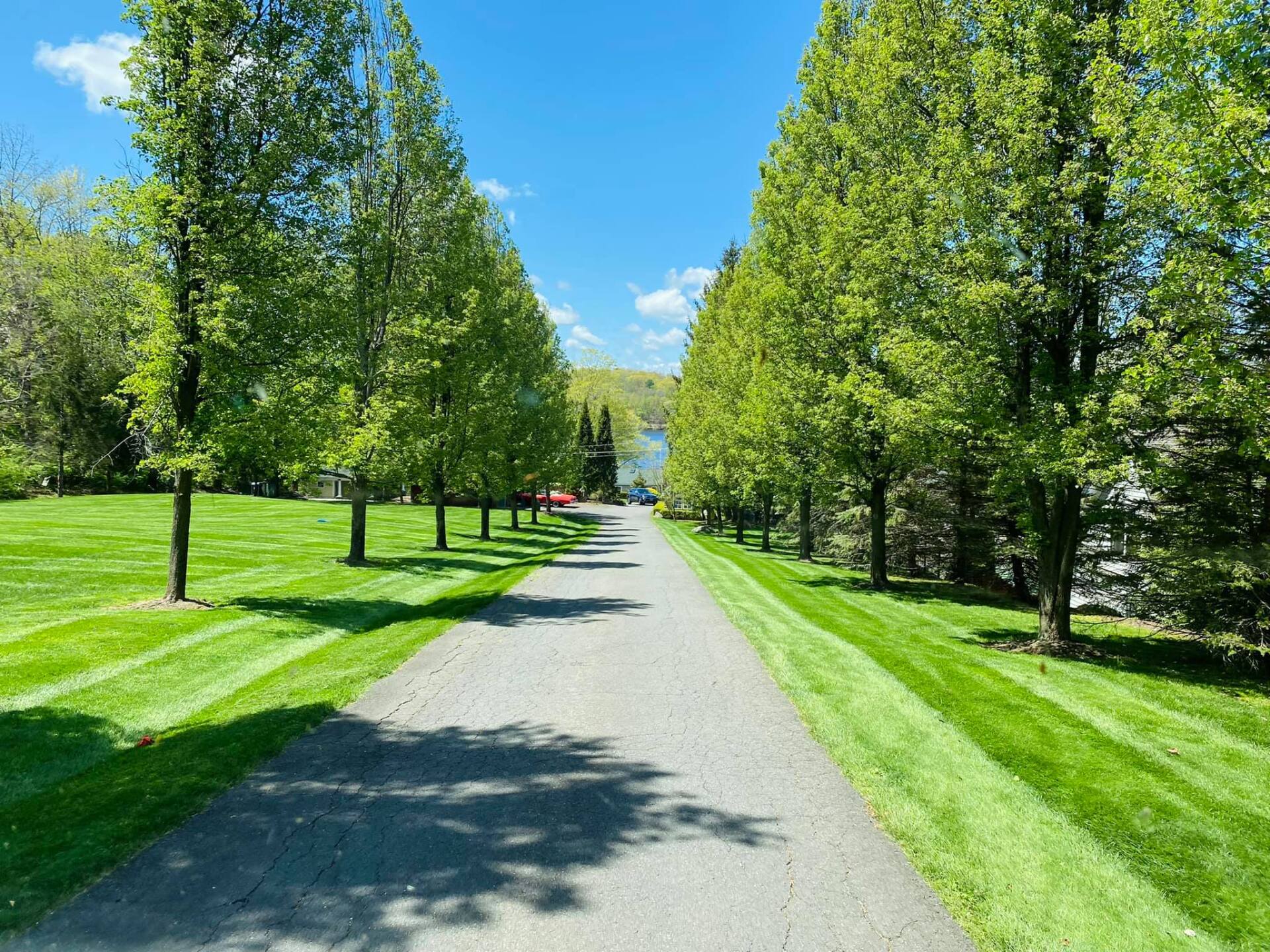 EverGreen Lawn & Landscape recent project