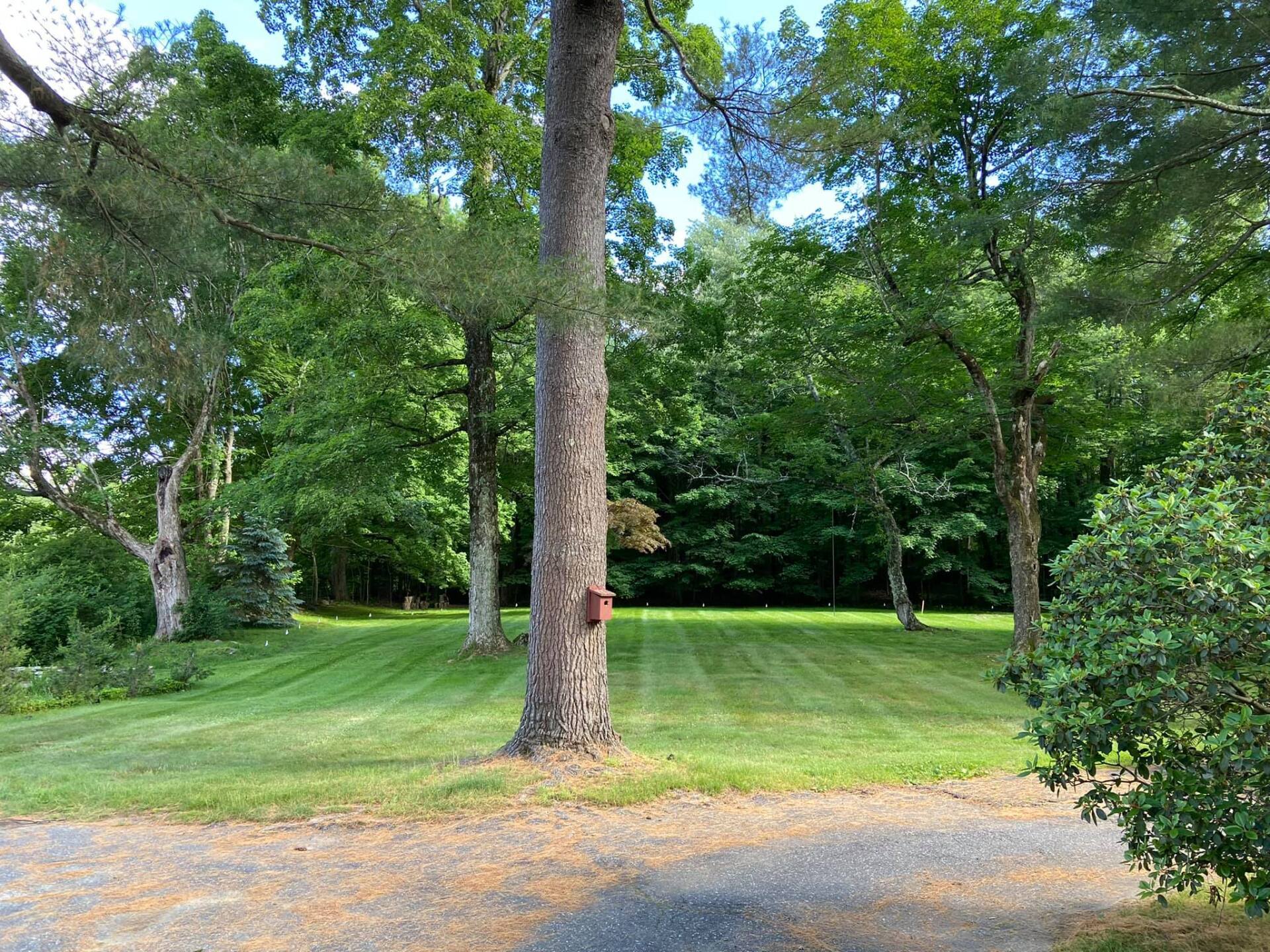 EverGreen Lawn & Landscape recent project