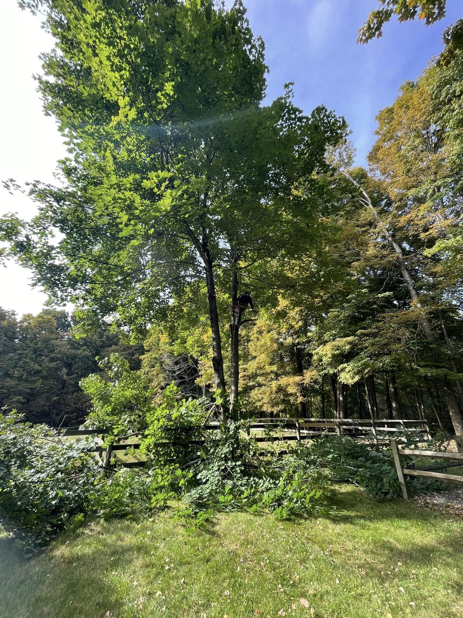 EverGreen Lawn & Landscape recent project