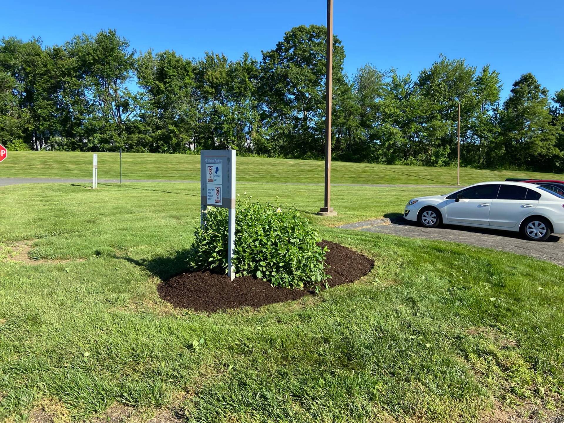 EverGreen Lawn & Landscape recent project