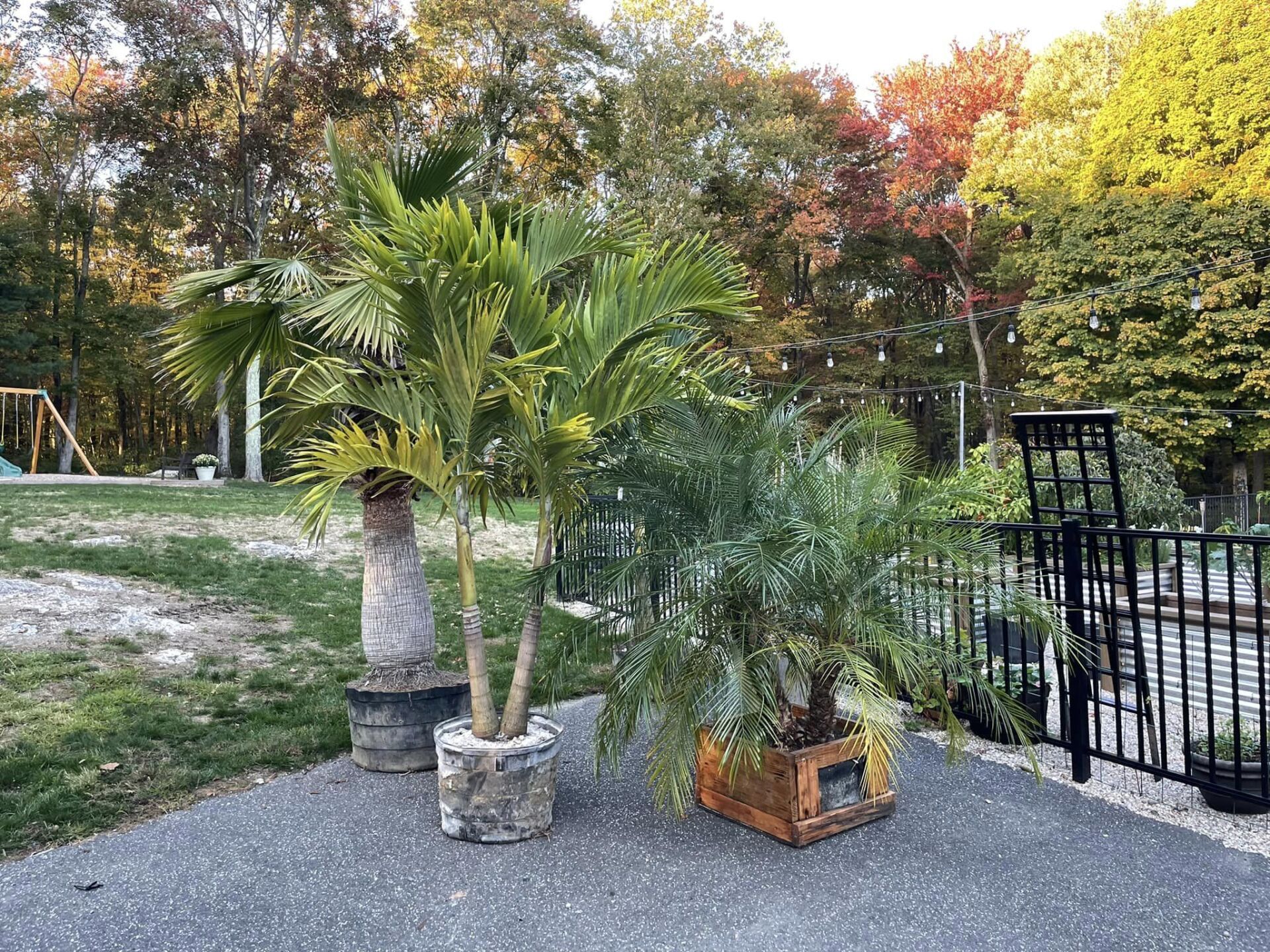 EverGreen Lawn & Landscape recent project