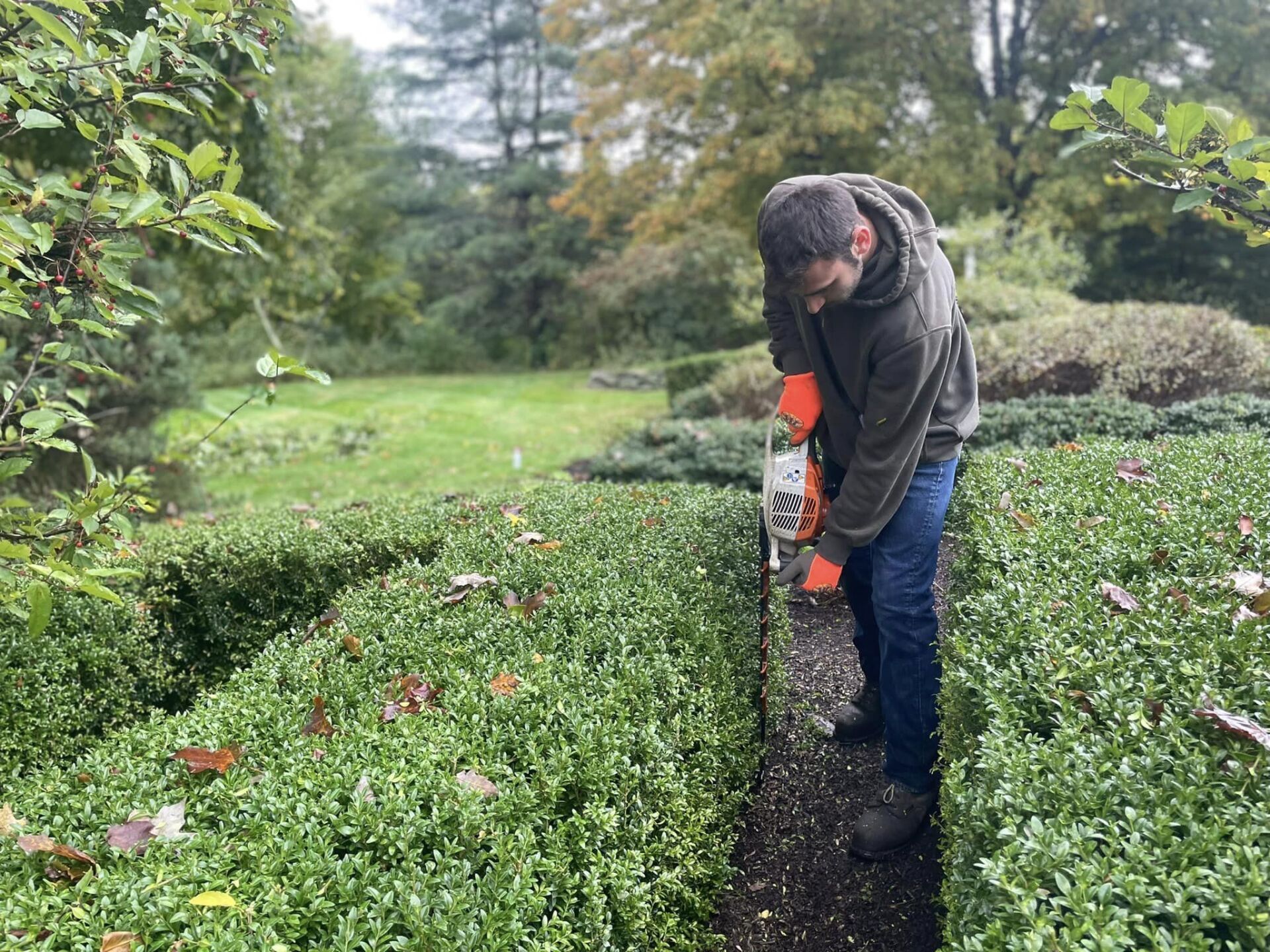 EverGreen Lawn & Landscape recent project