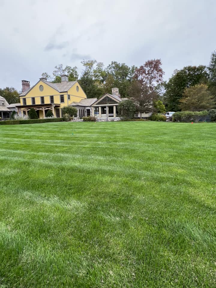 EverGreen Lawn & Landscape recent project