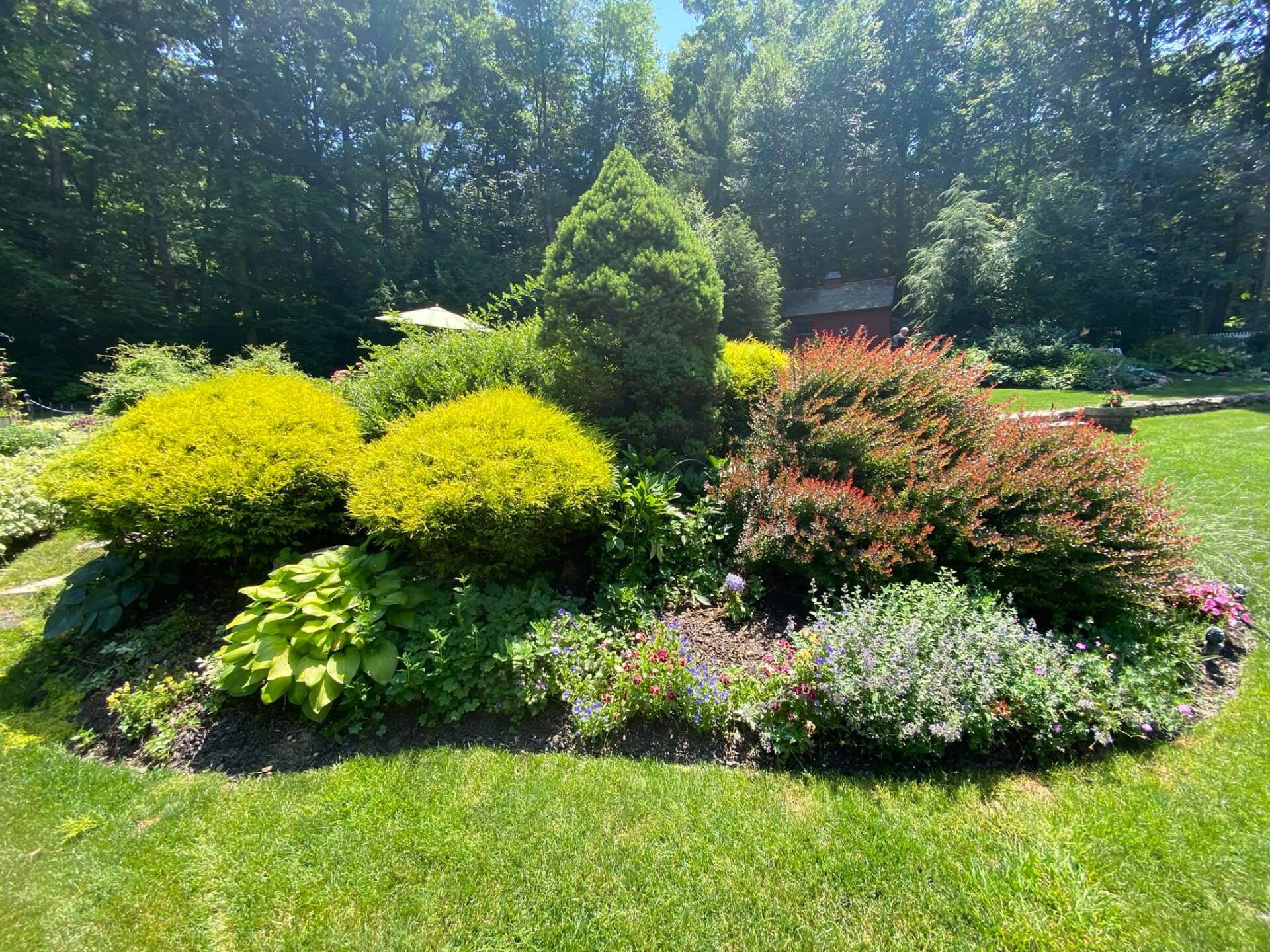 EverGreen Lawn & Landscape recent project