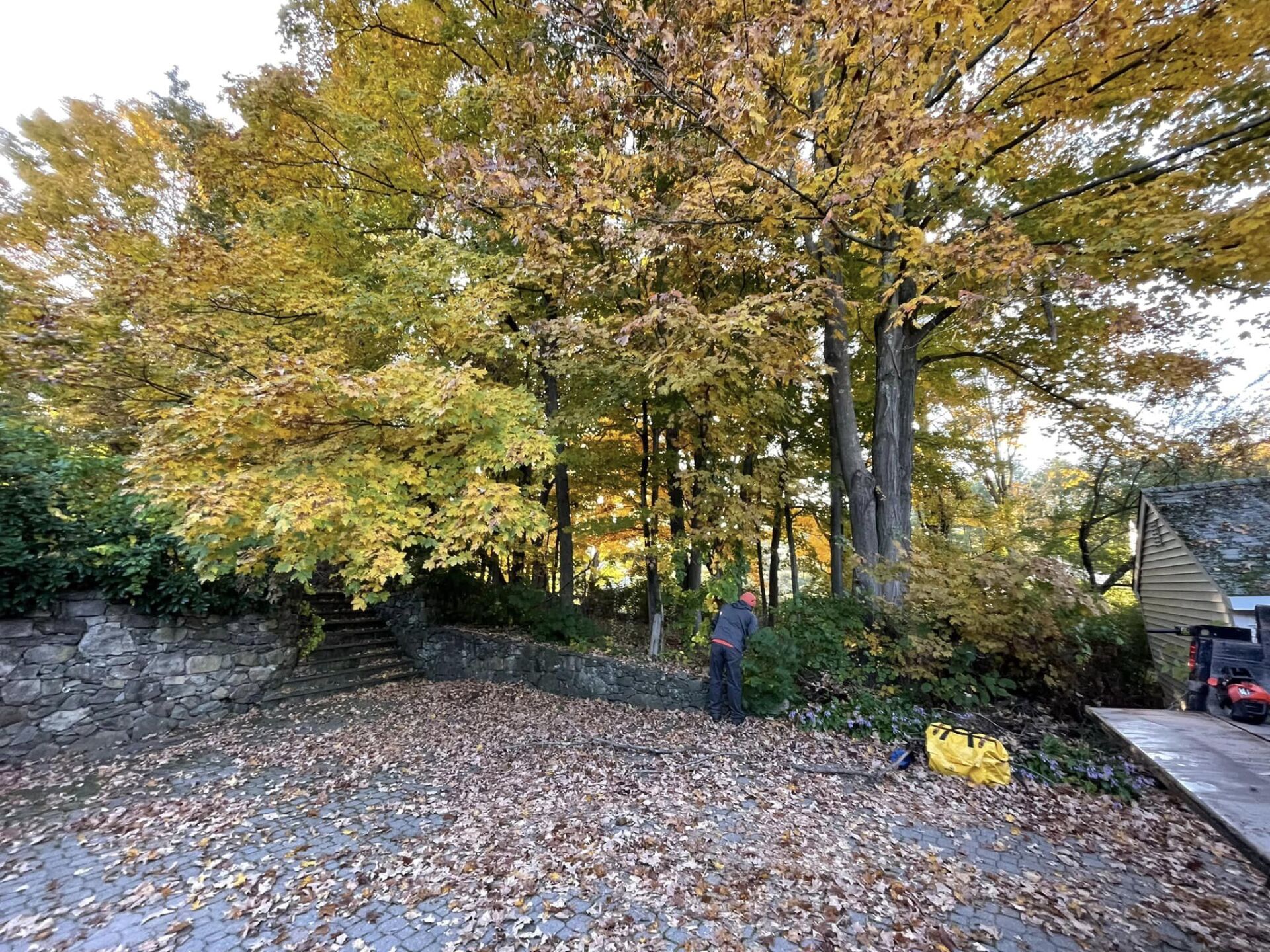 EverGreen Lawn & Landscape recent project