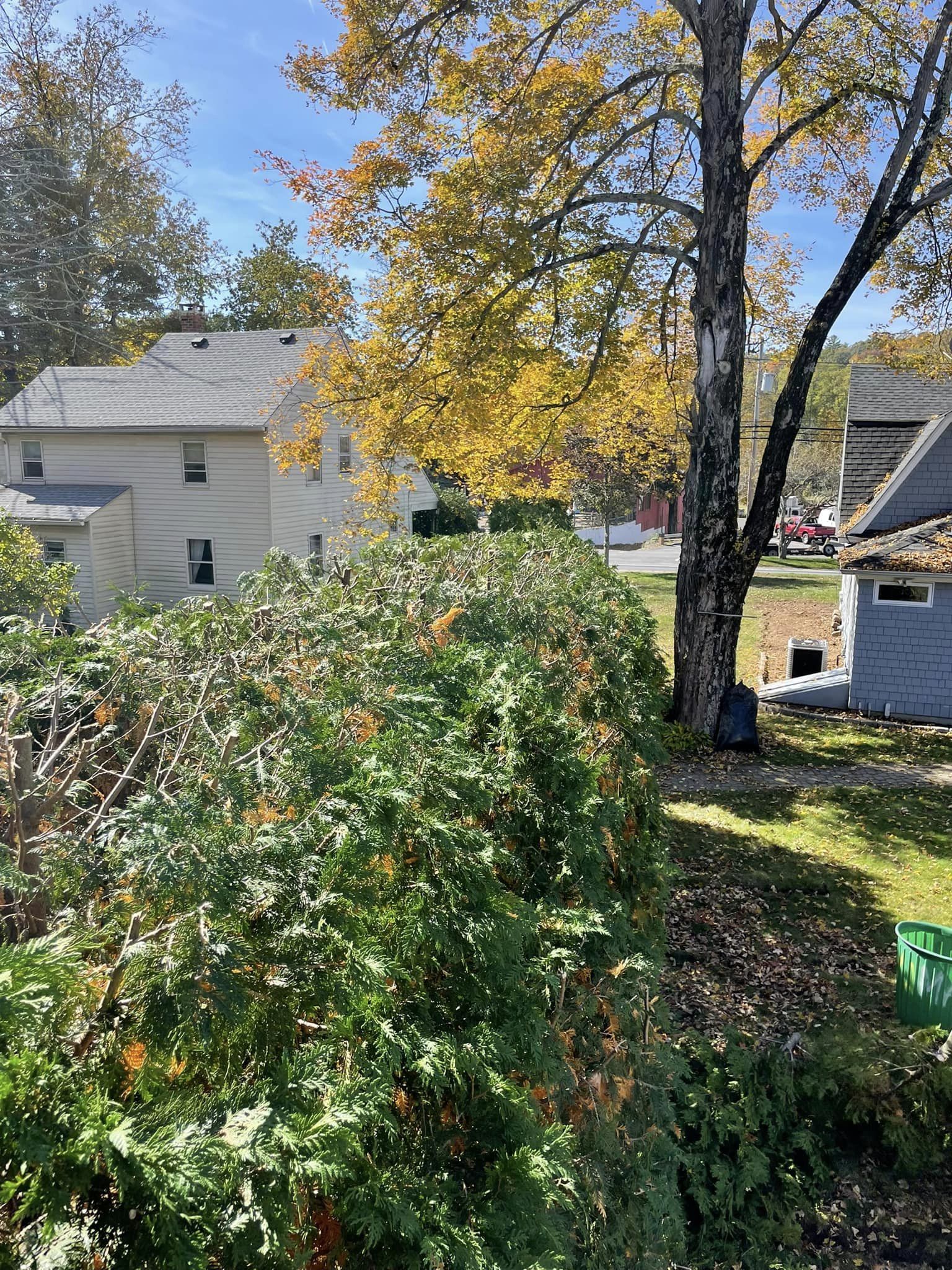 EverGreen Lawn & Landscape recent project