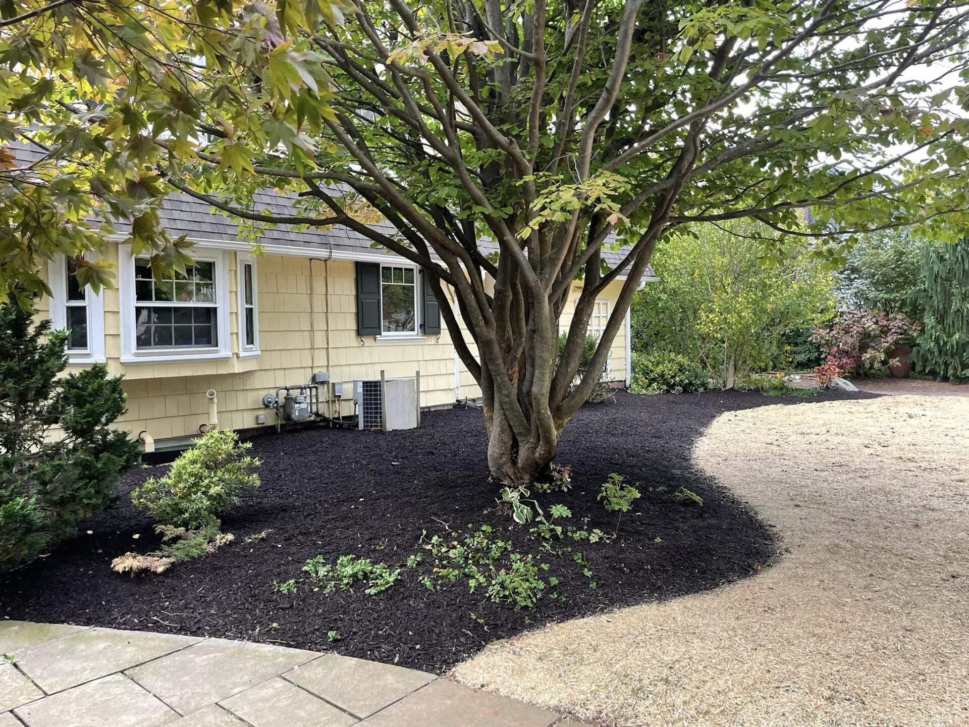 EverGreen Lawn & Landscape recent project