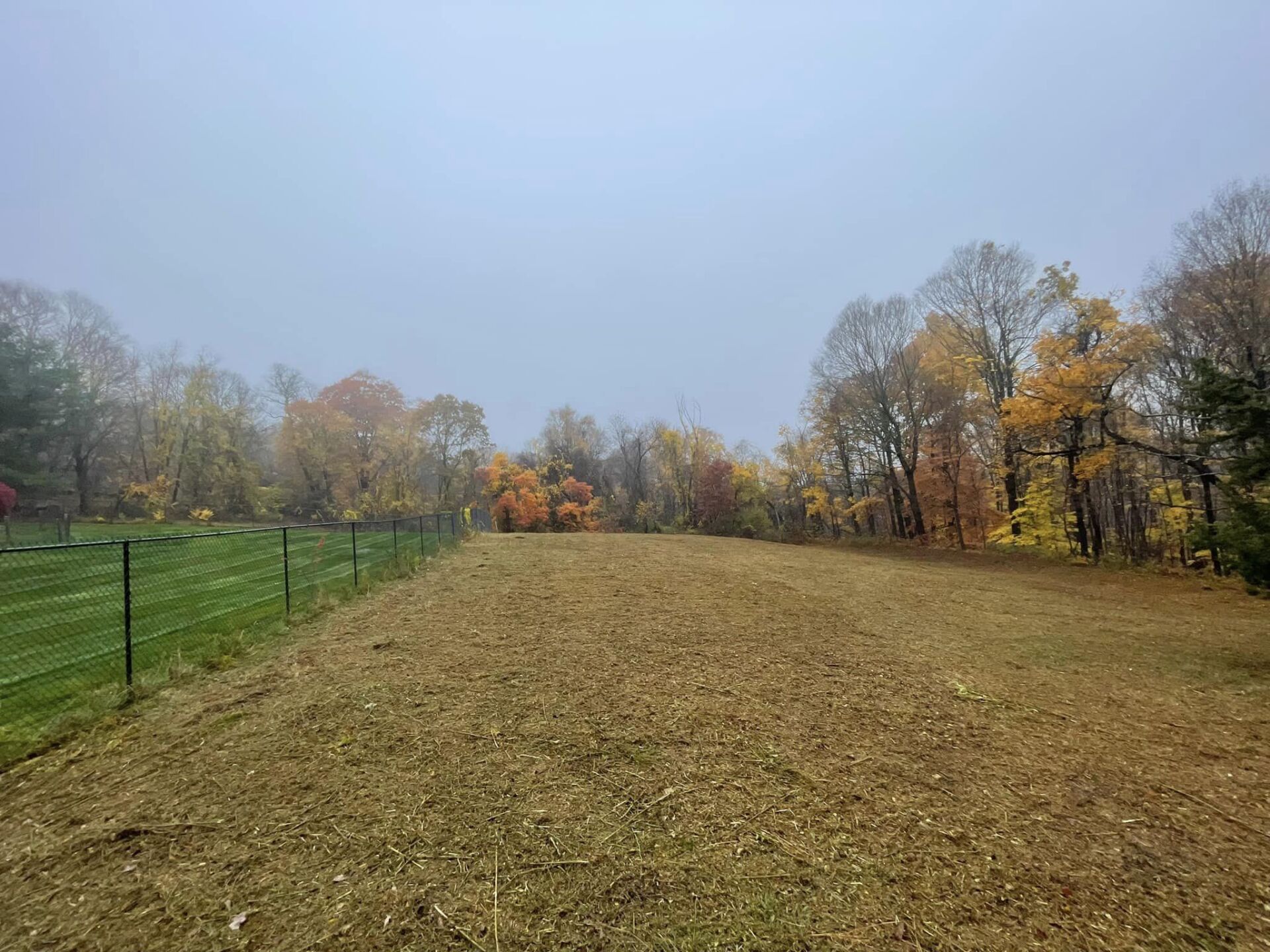 EverGreen Lawn & Landscape recent project