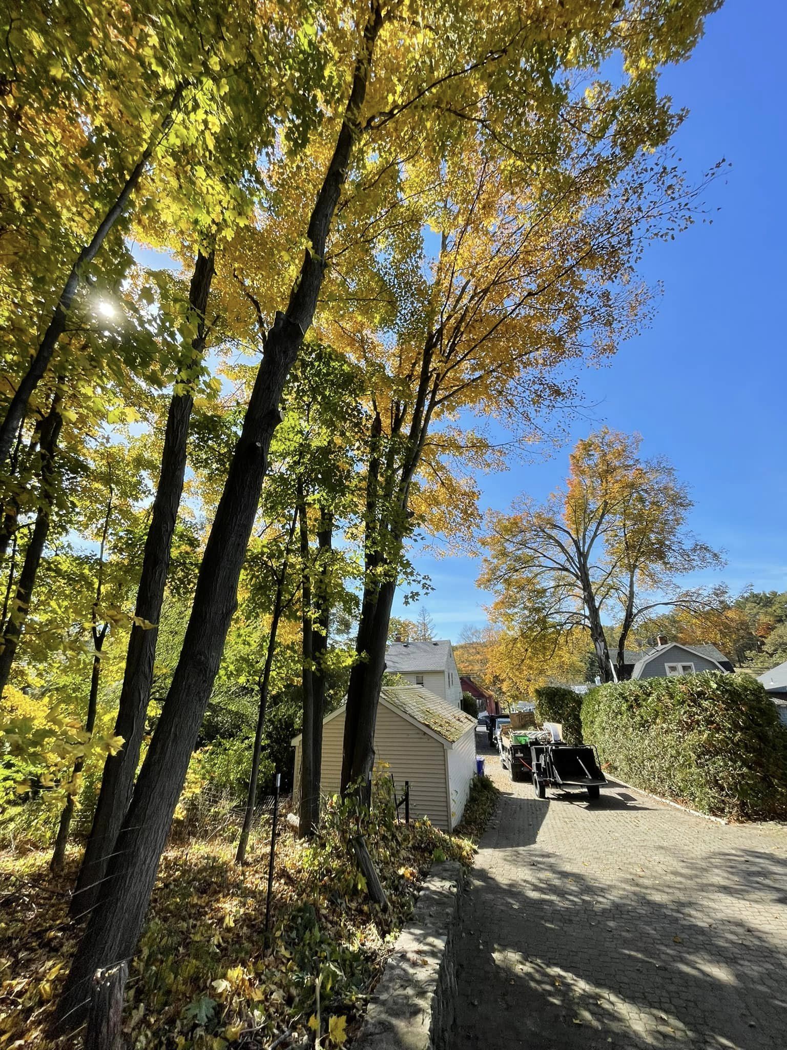 EverGreen Lawn & Landscape recent project