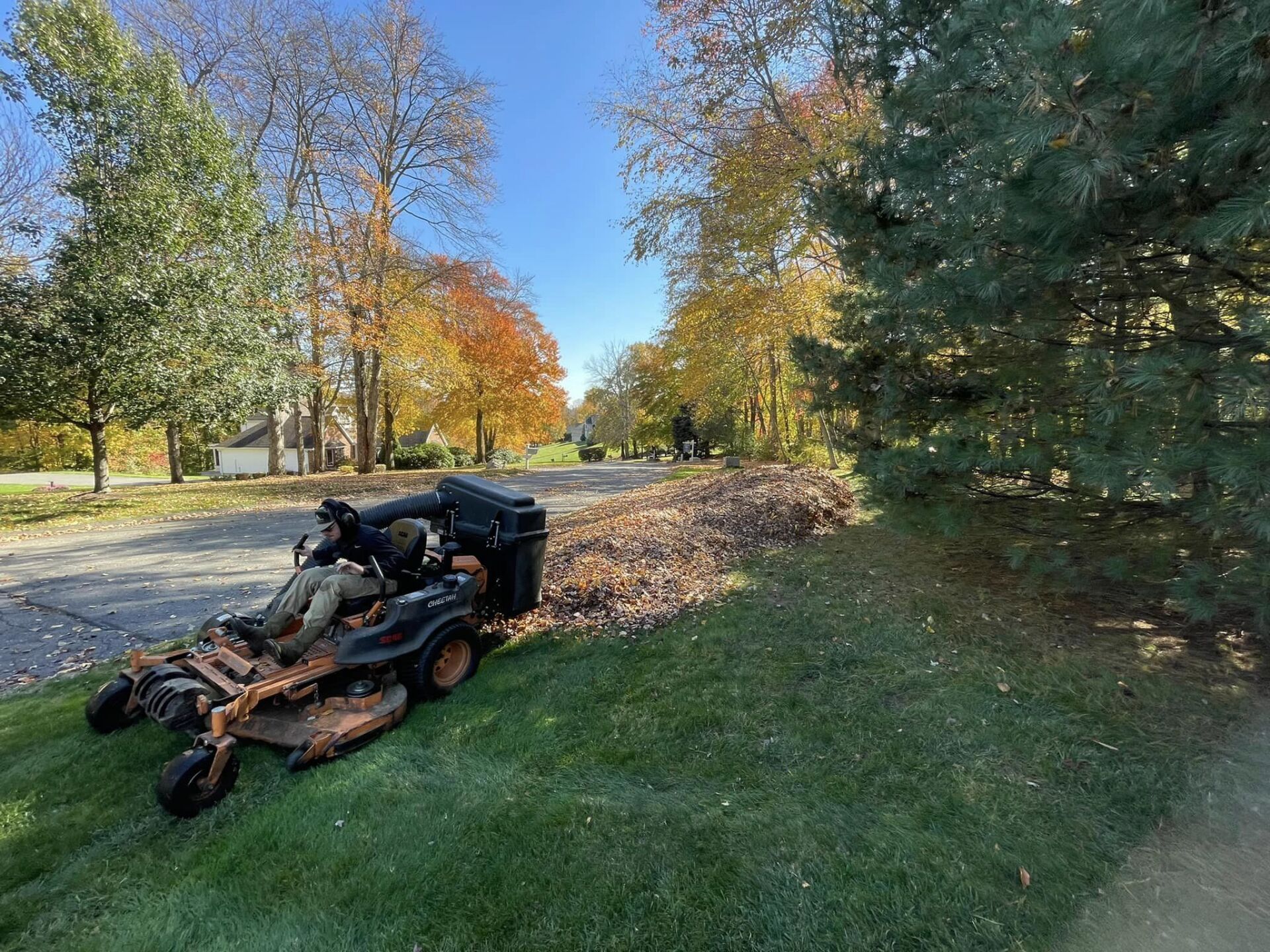 EverGreen Lawn & Landscape recent project