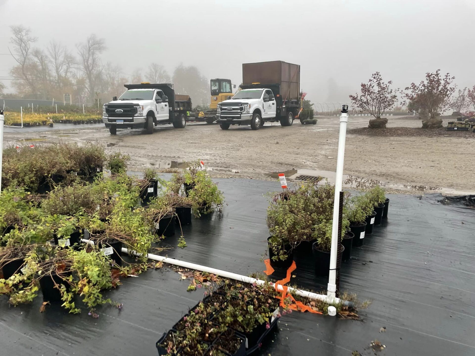 EverGreen Lawn & Landscape recent project