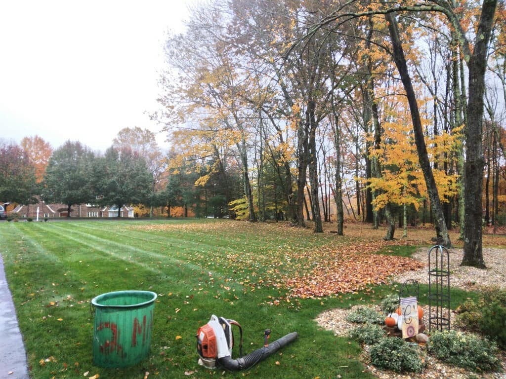 EverGreen Lawn & Landscape recent project