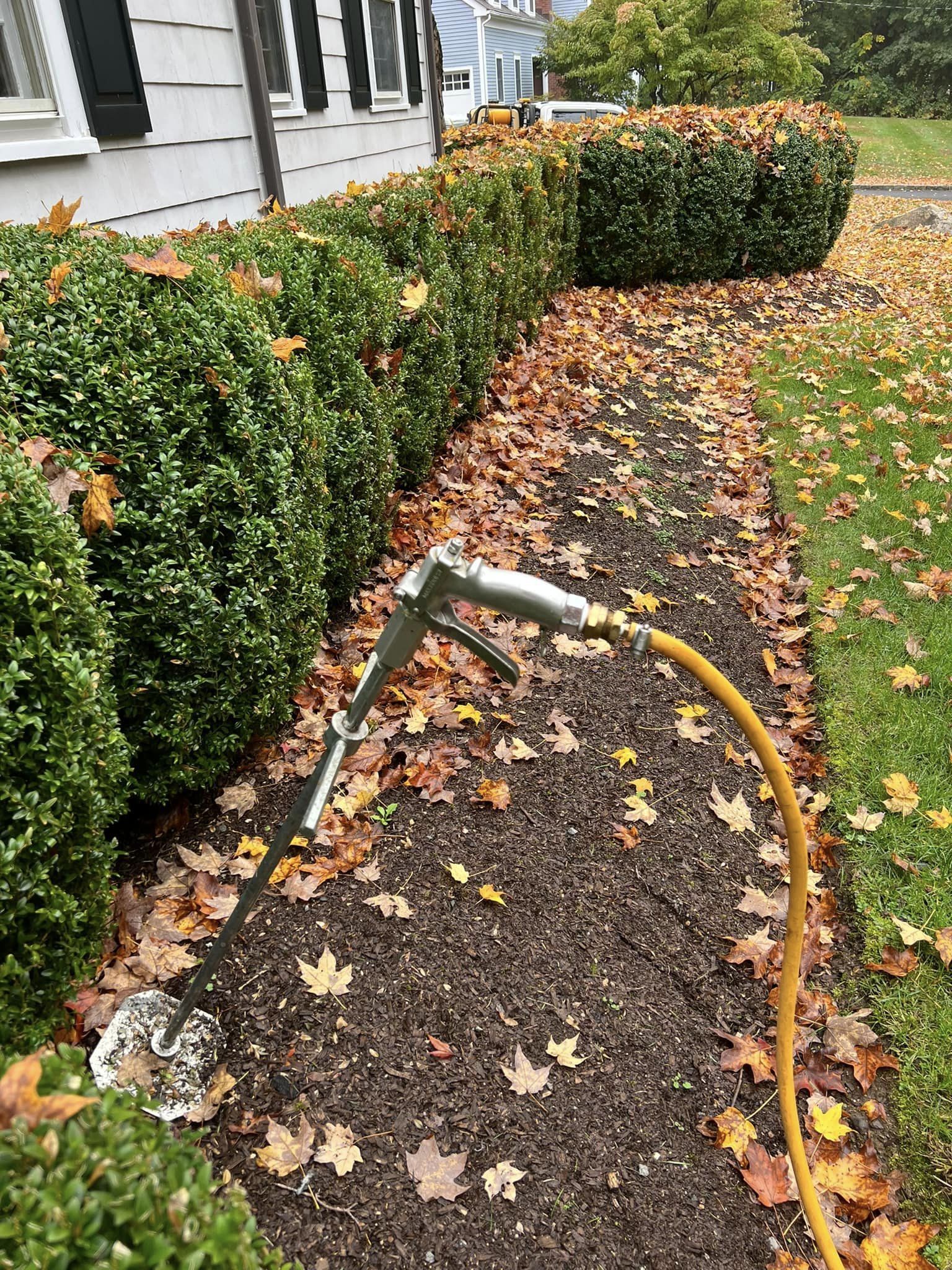 EverGreen Lawn & Landscape recent project