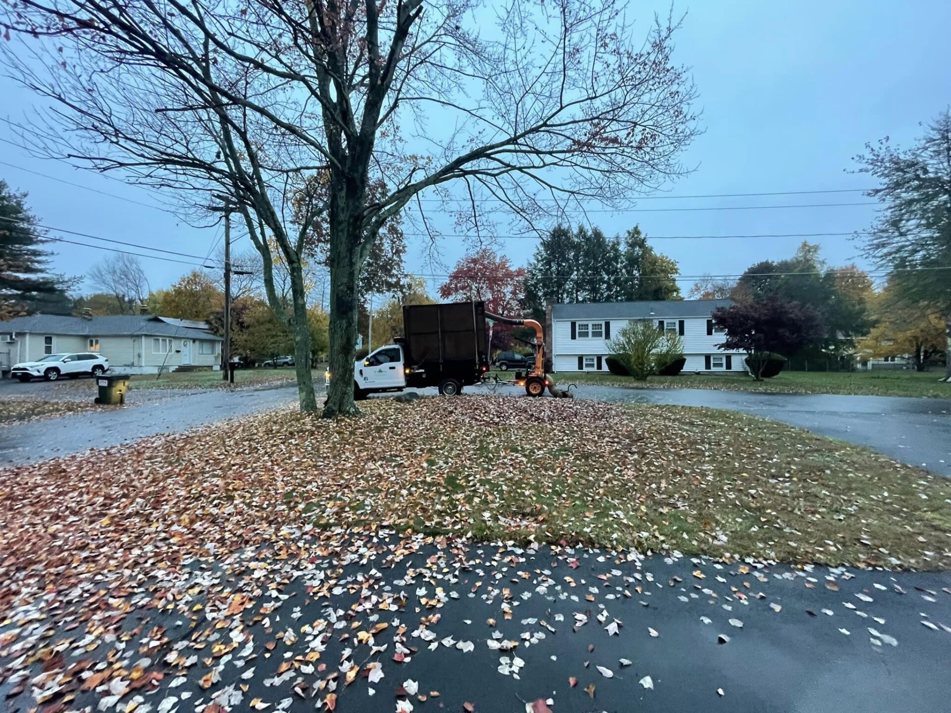 EverGreen Lawn & Landscape recent project