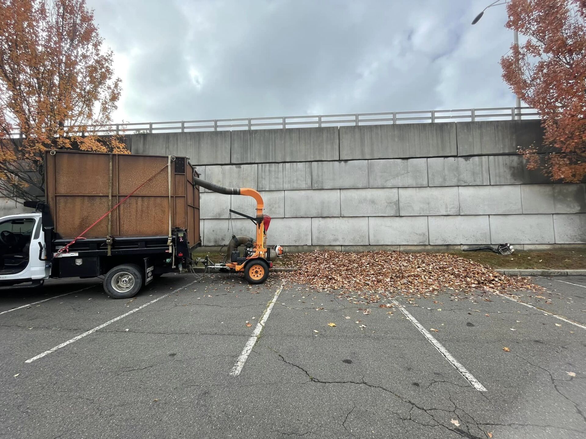 EverGreen Lawn & Landscape recent project