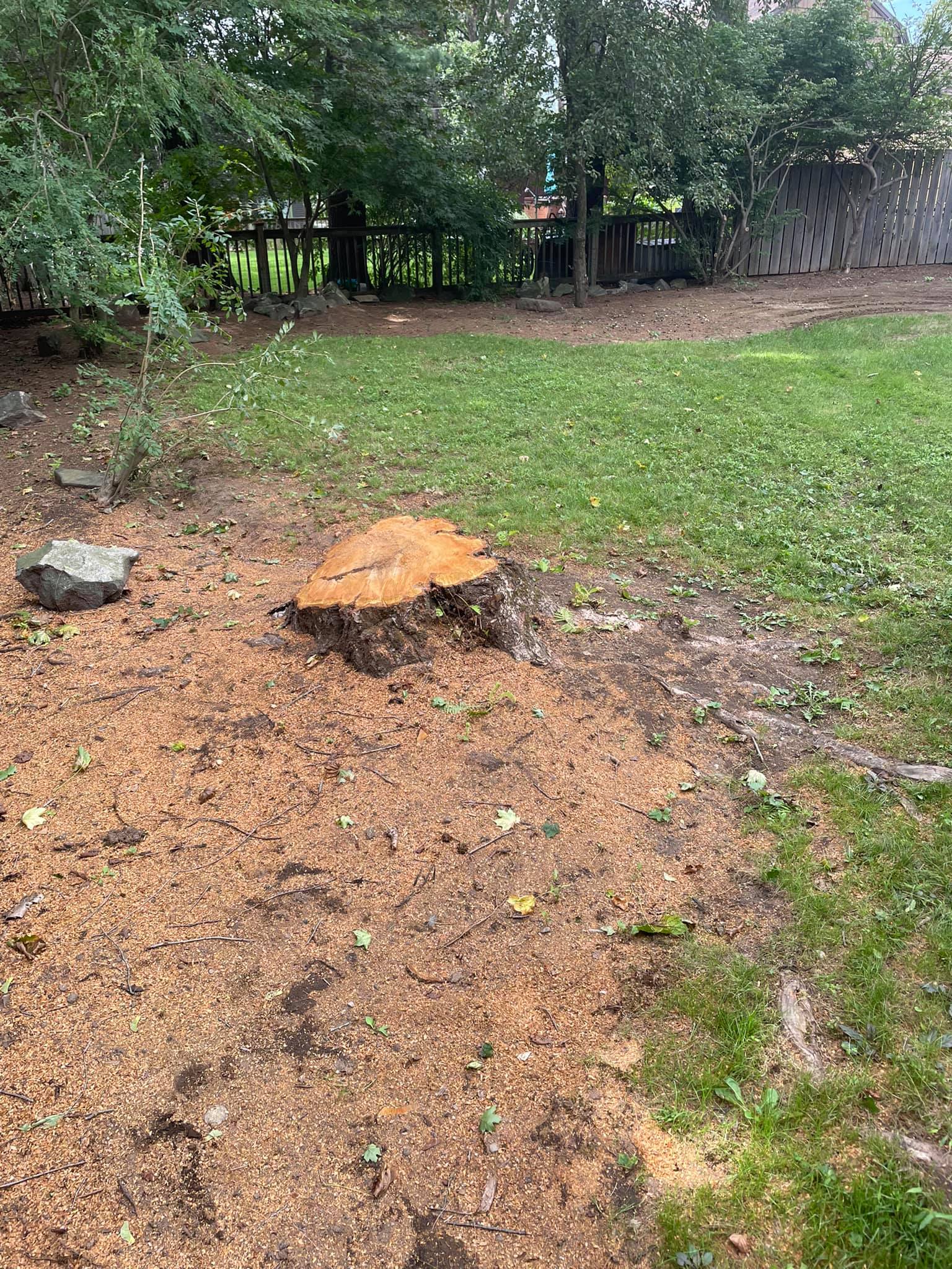 EverGreen Lawn & Landscape recent project