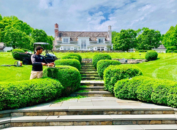 EverGreen Lawn & Landscape recent project