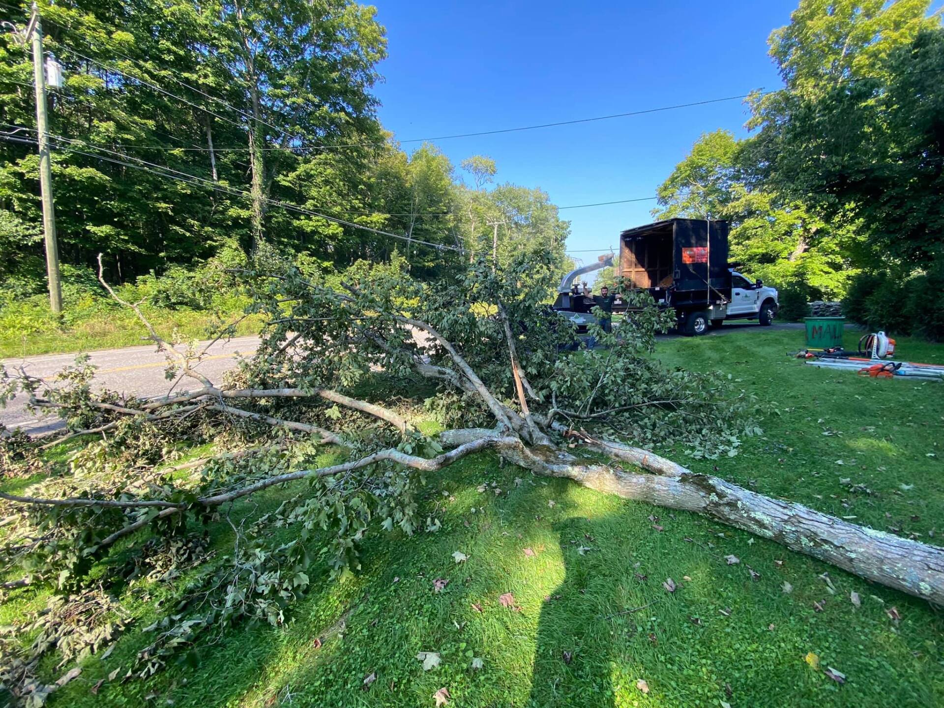 EverGreen Lawn & Landscape recent project