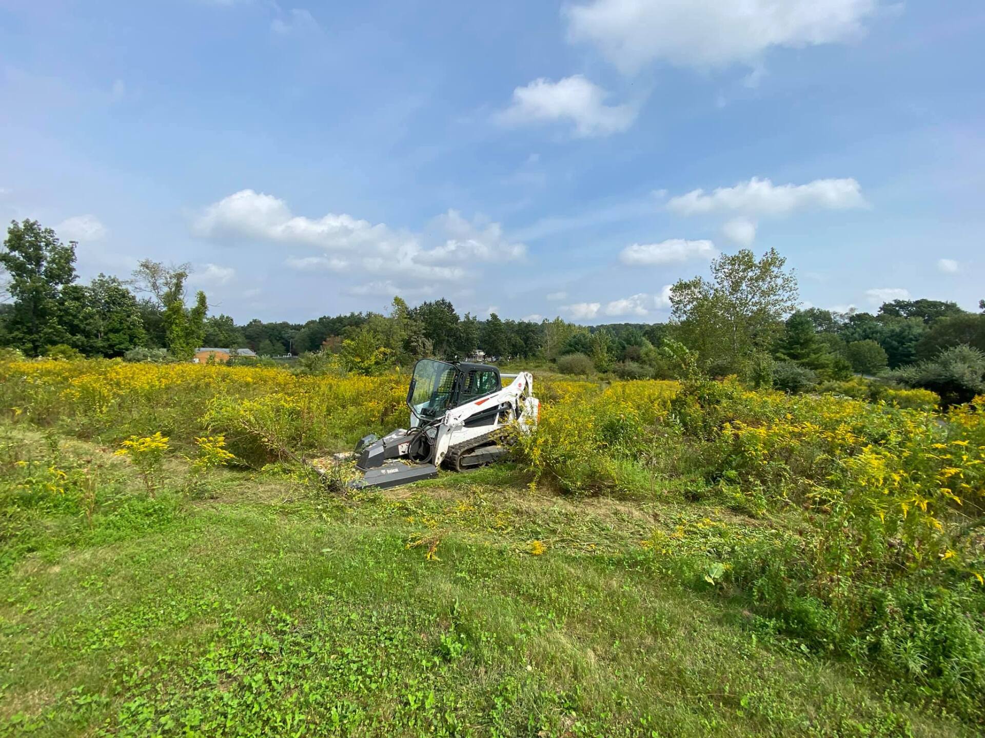 EverGreen Lawn & Landscape recent project