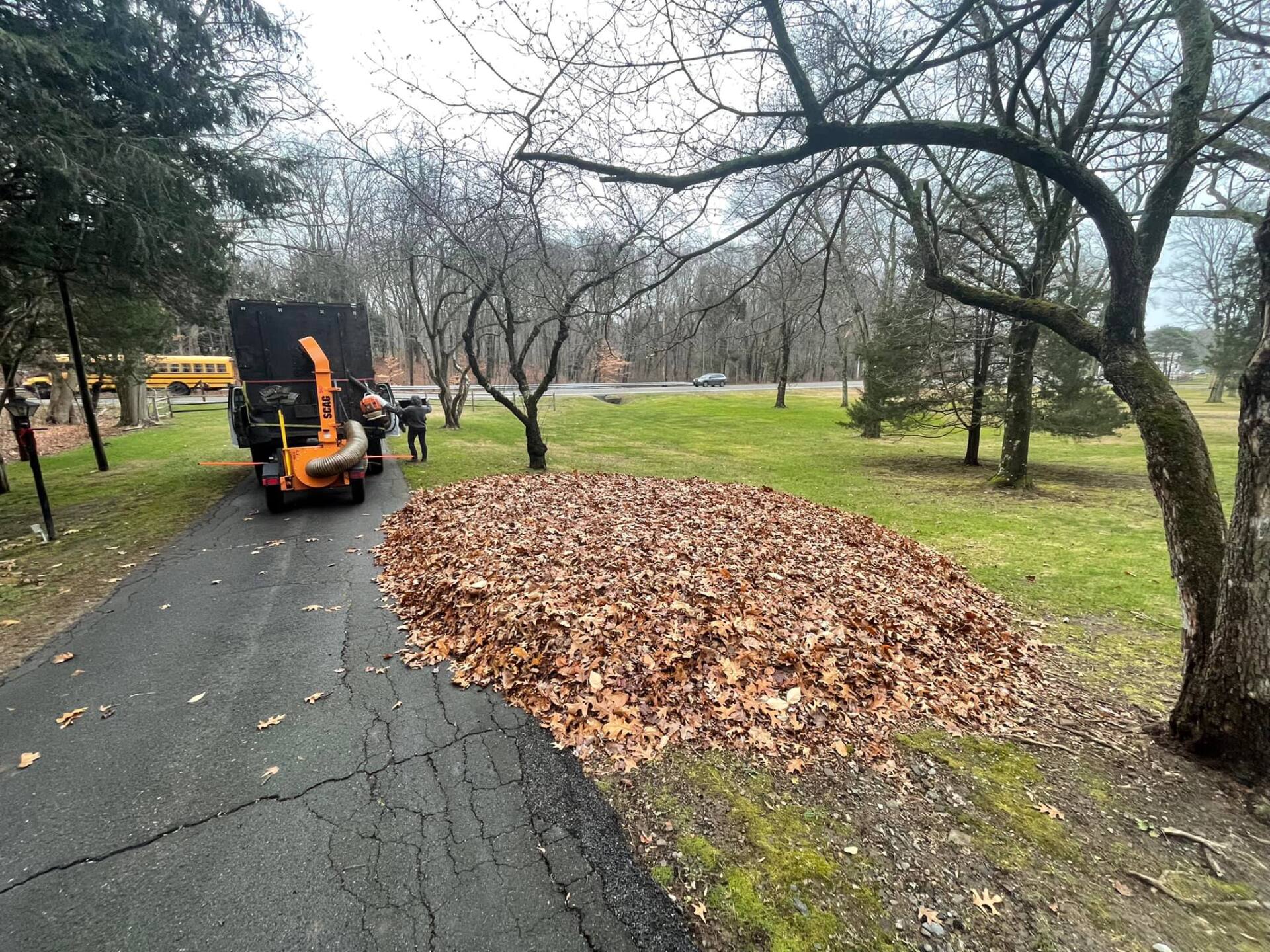 EverGreen Lawn & Landscape recent project