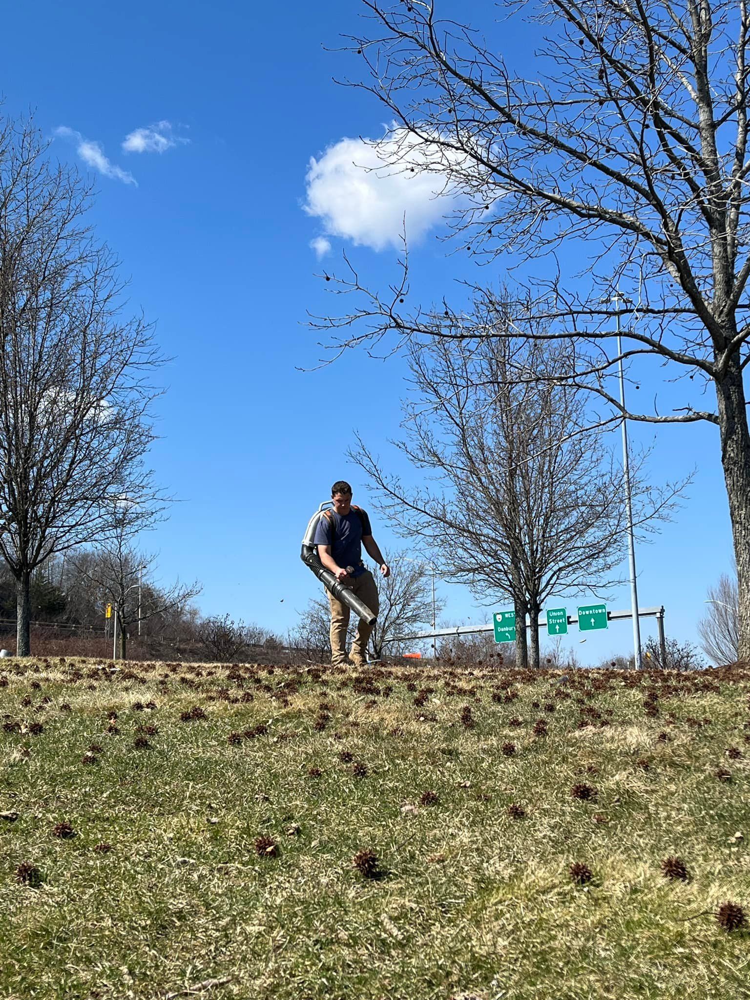 EverGreen Lawn & Landscape recent project