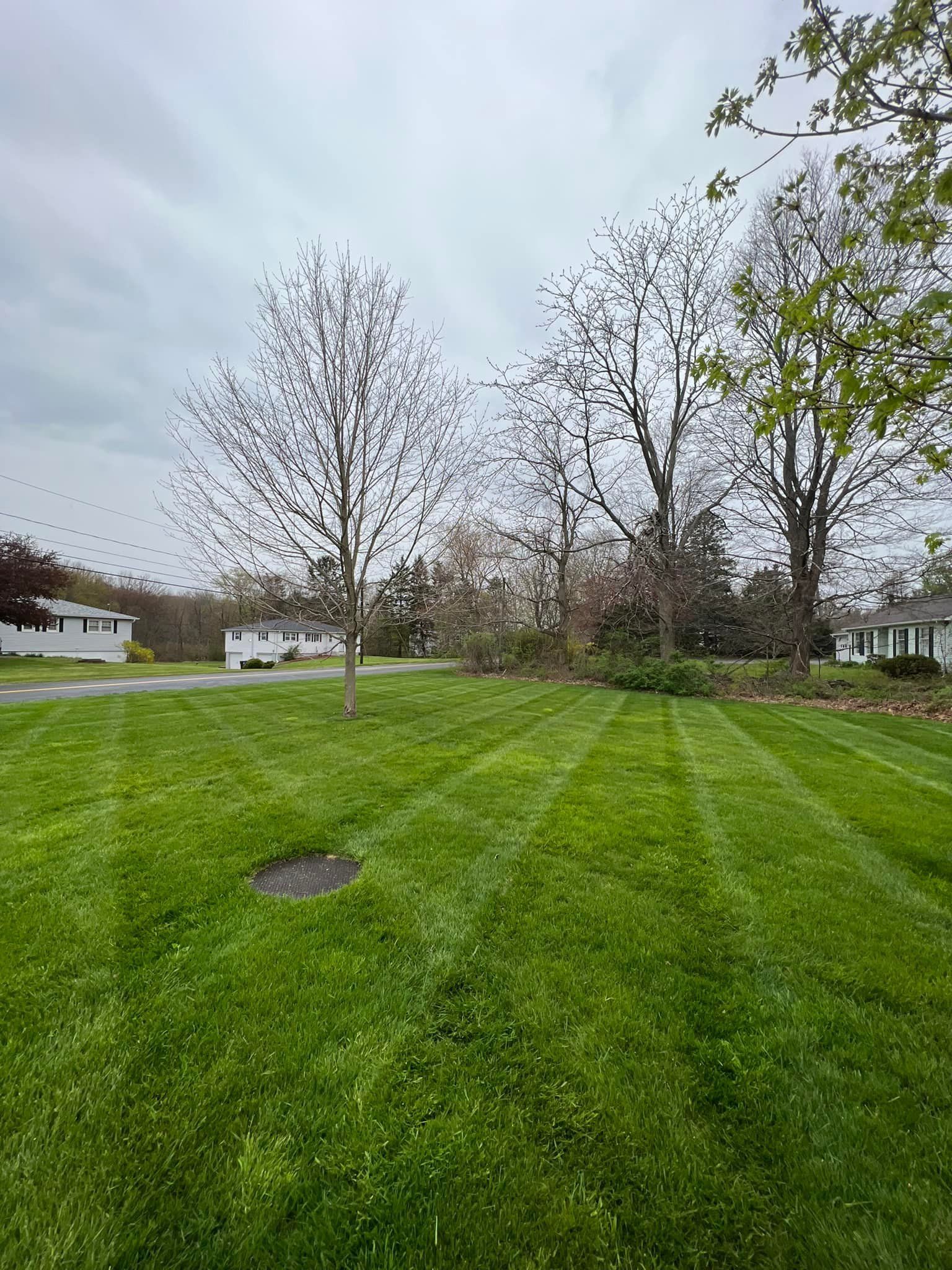 EverGreen Lawn & Landscape recent project