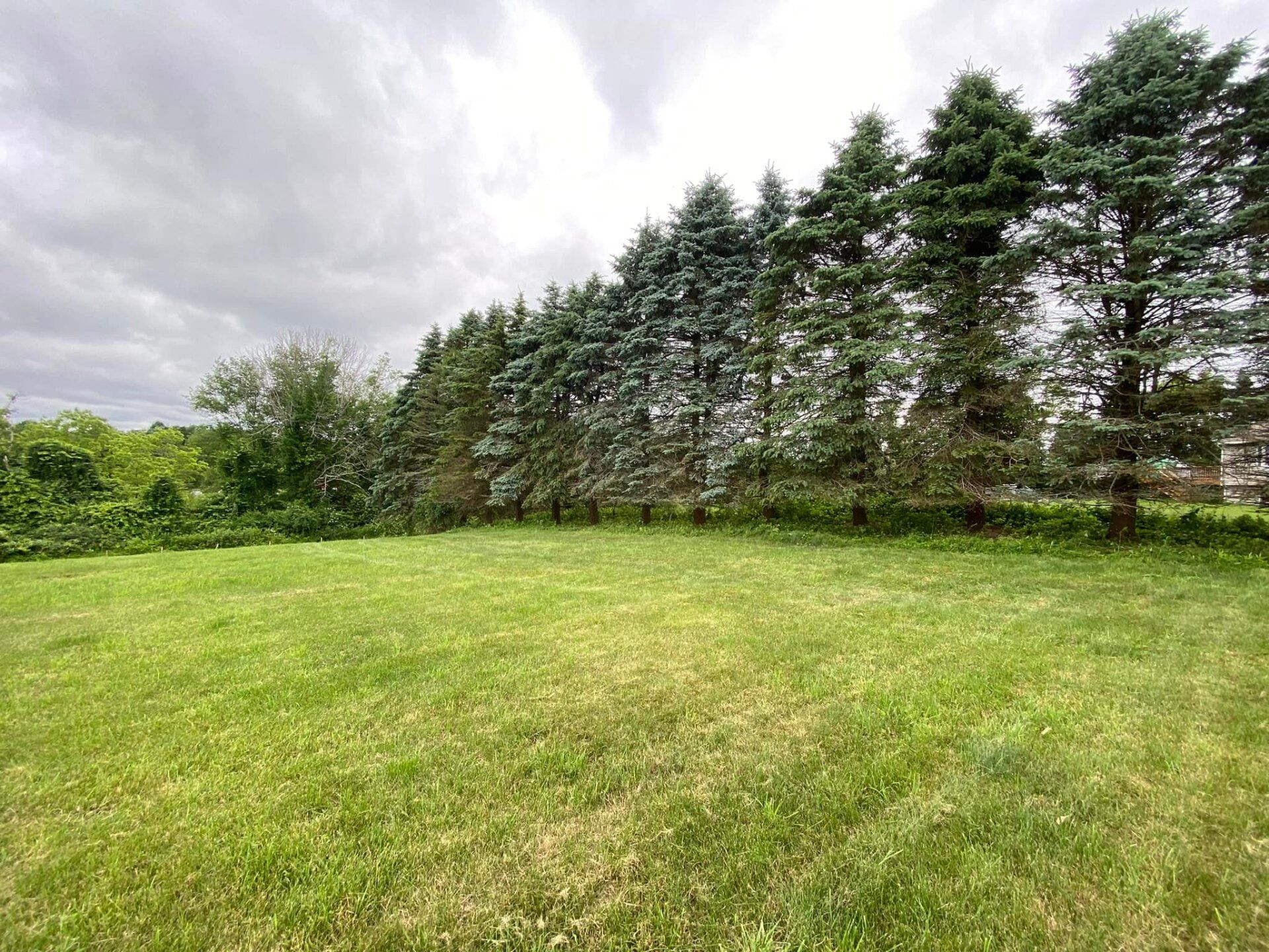 EverGreen Lawn & Landscape recent project