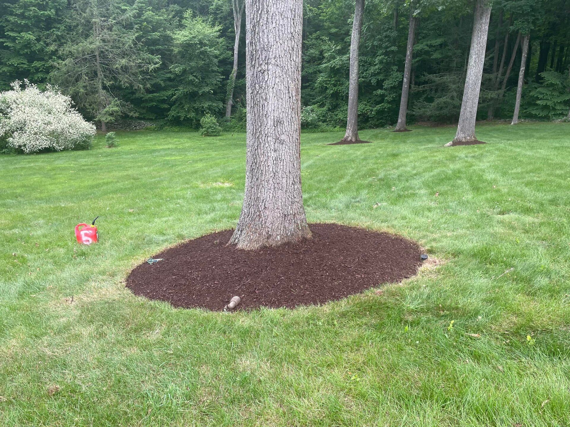 EverGreen Lawn & Landscape recent project