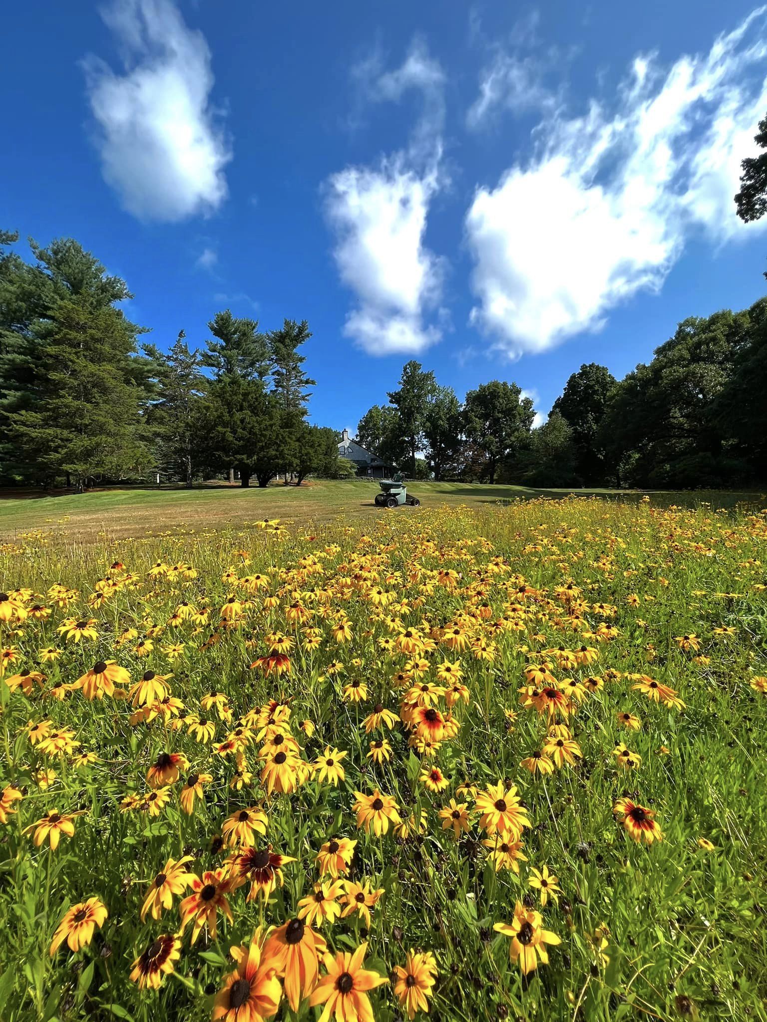 EverGreen Lawn & Landscape recent project