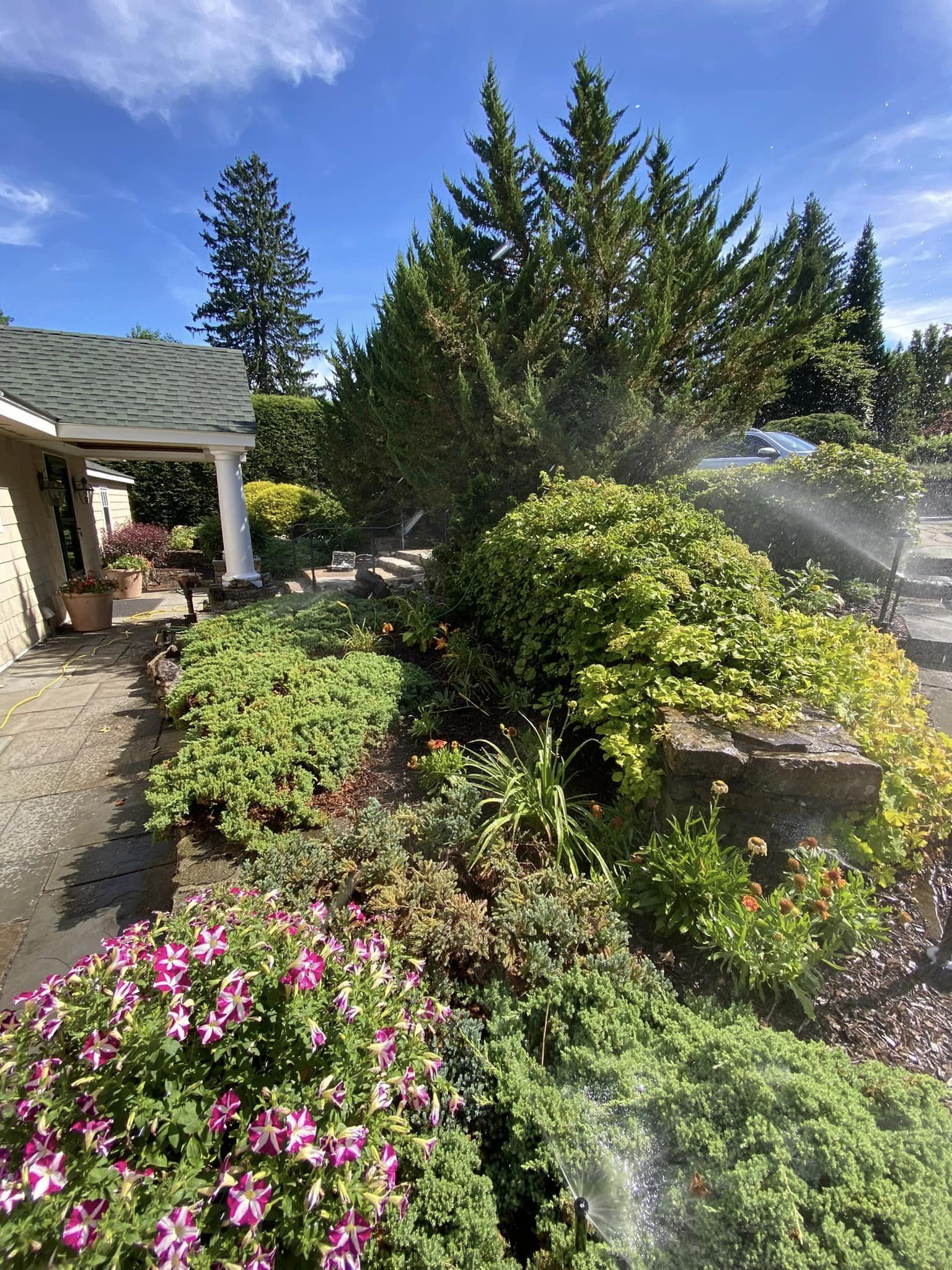 EverGreen Lawn & Landscape recent project