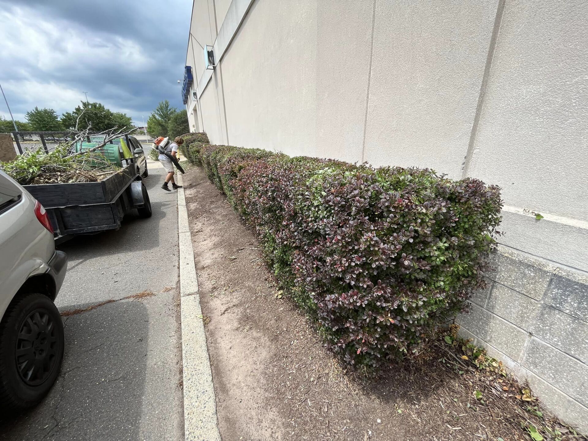 EverGreen Lawn & Landscape recent project