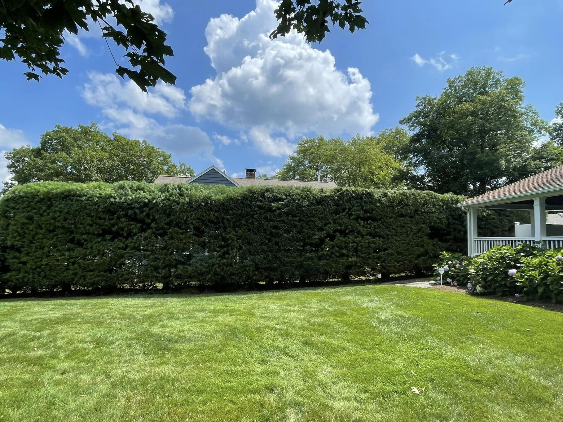 EverGreen Lawn & Landscape recent project