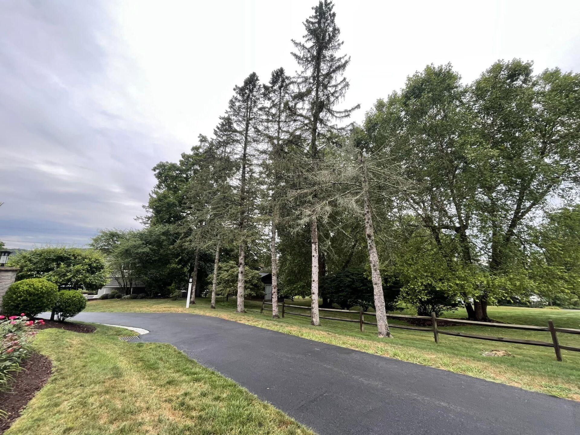 EverGreen Lawn & Landscape recent project