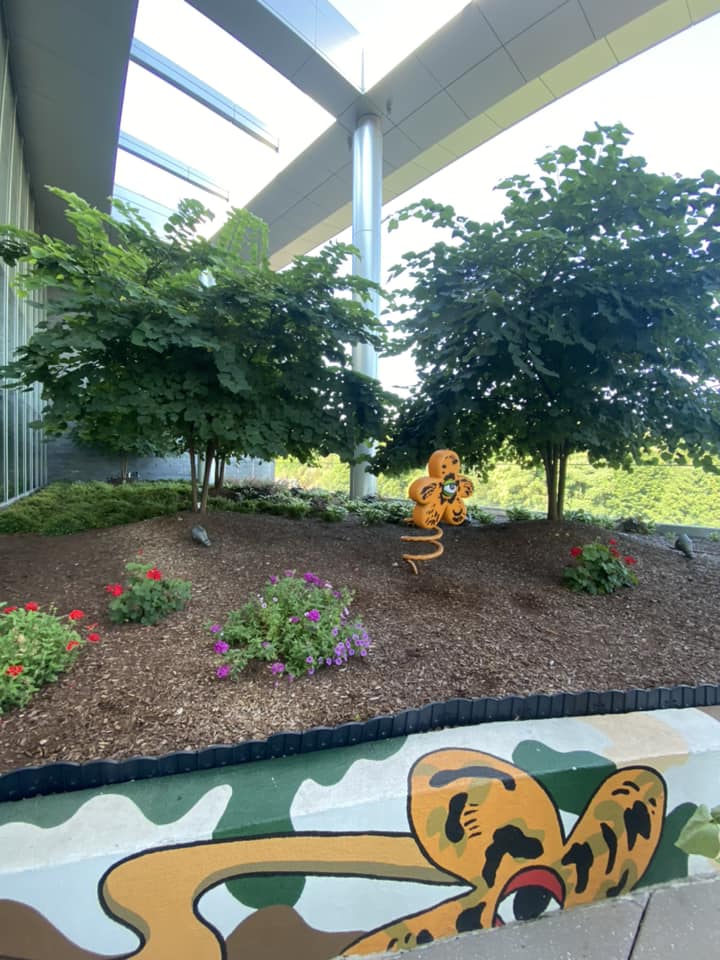 EverGreen Lawn & Landscape recent project