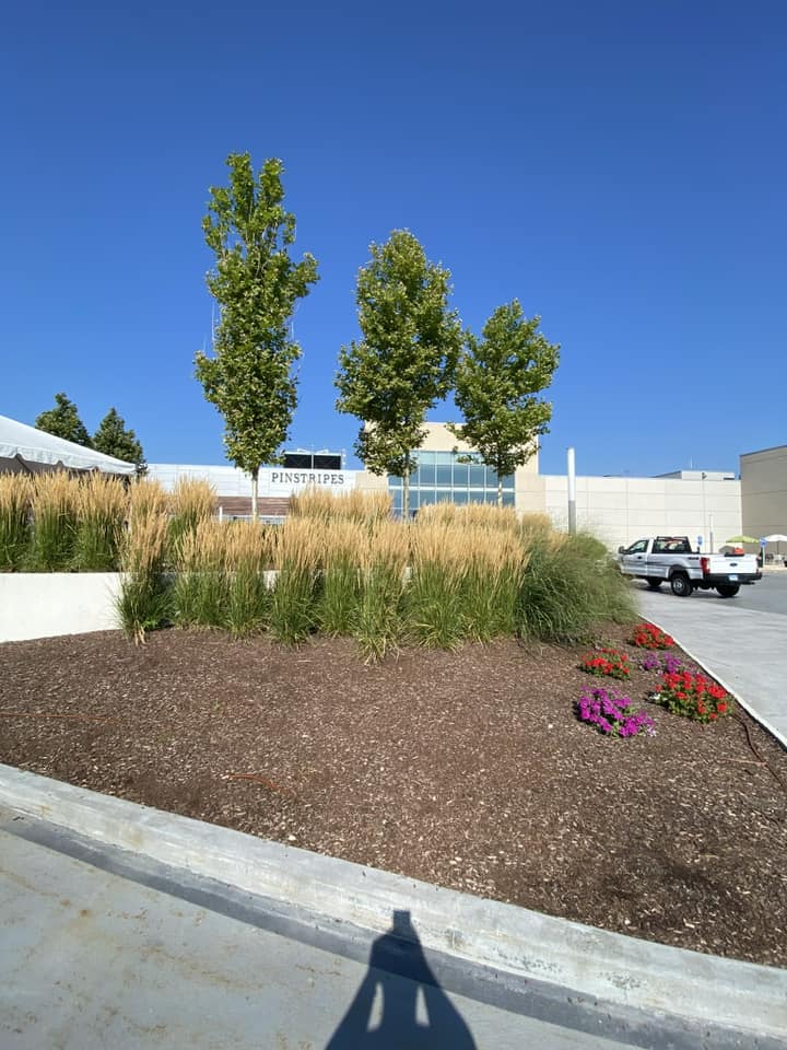 EverGreen Lawn & Landscape recent project