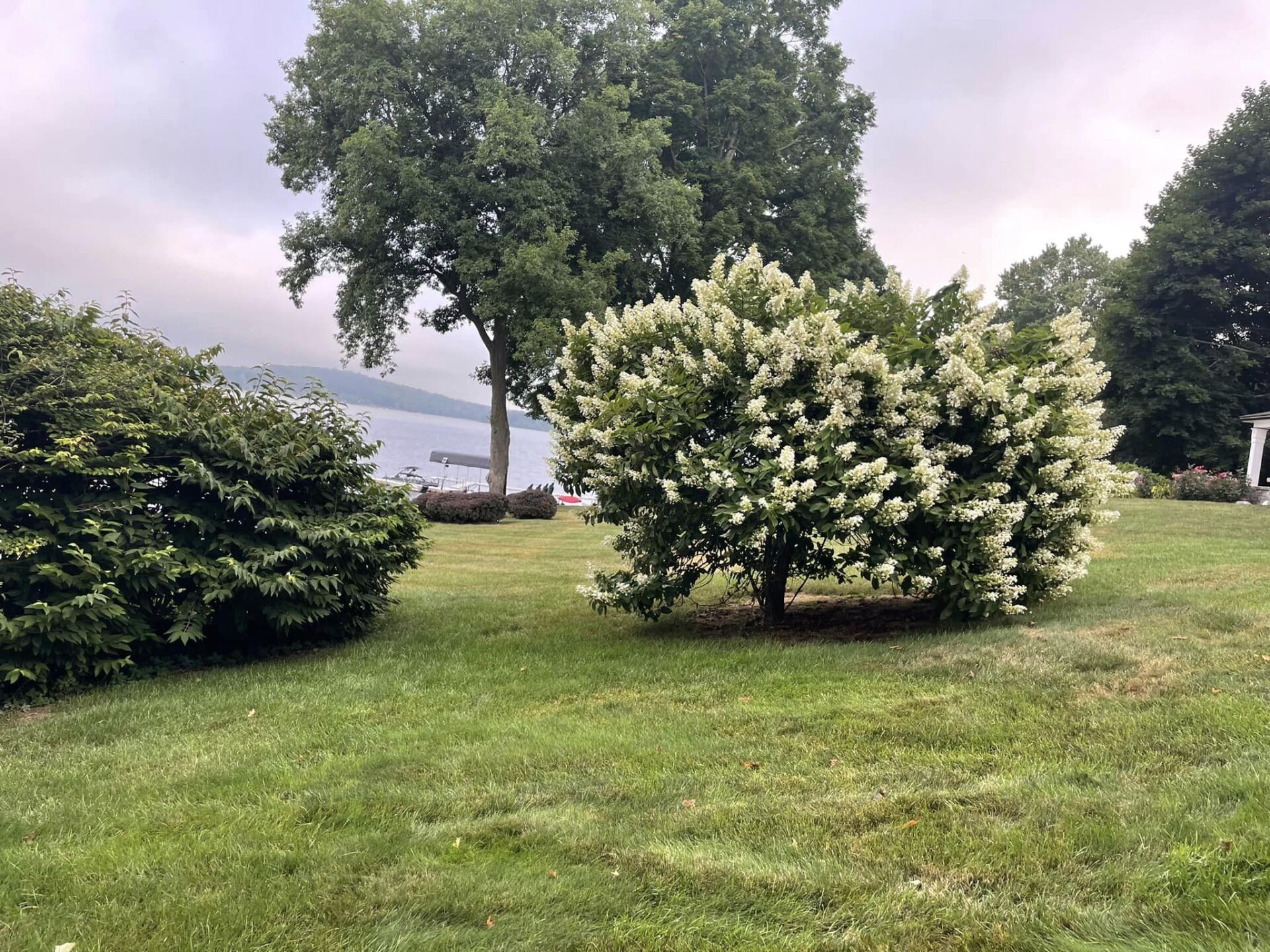 EverGreen Lawn & Landscape recent project