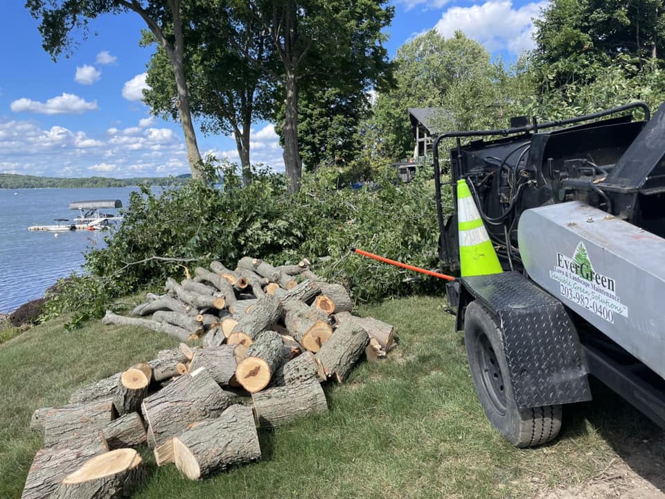 EverGreen Lawn & Landscape recent project