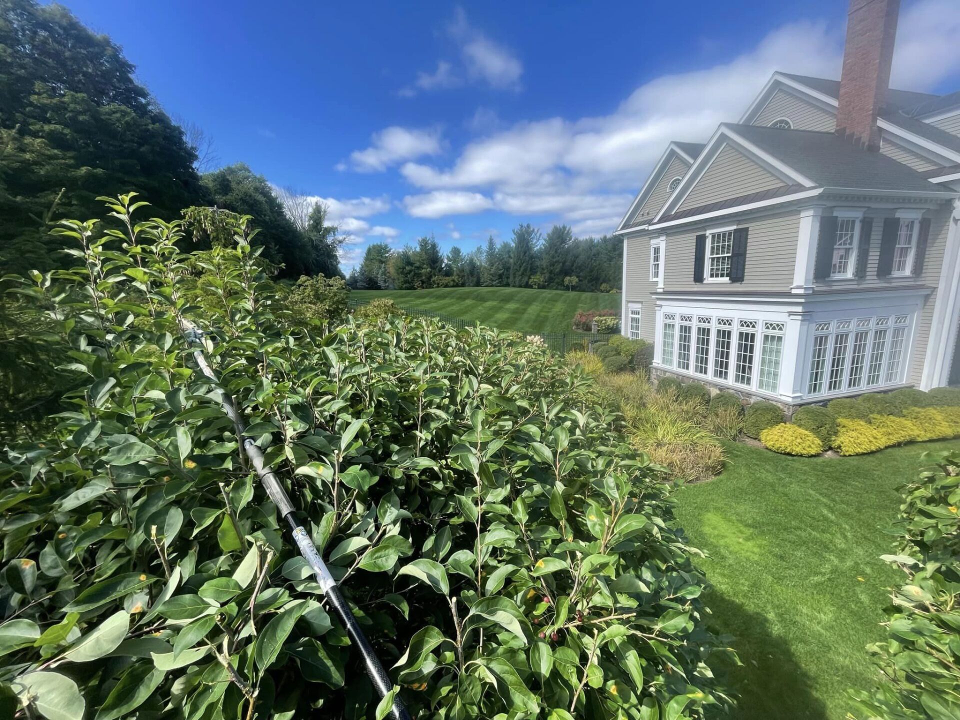 EverGreen Lawn & Landscape recent project