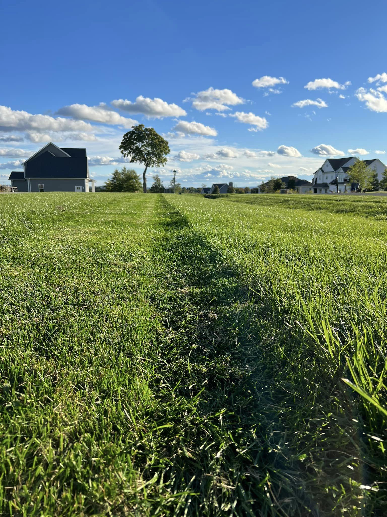 EverGreen Lawn & Landscape recent project