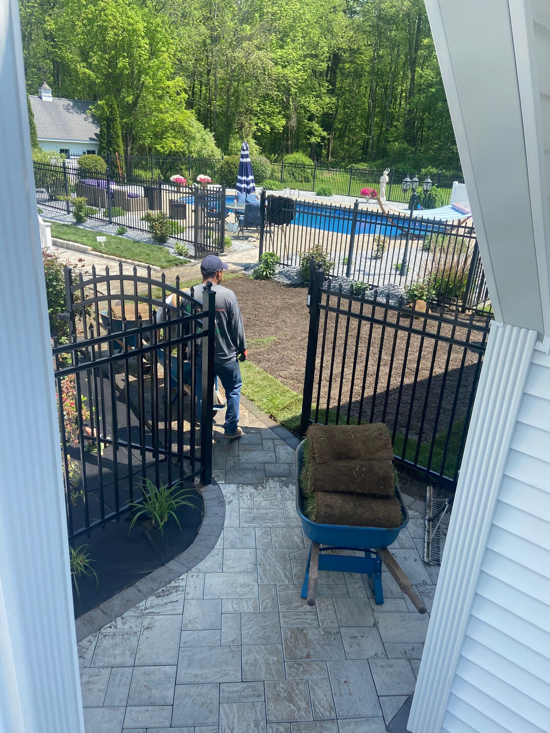 Man standing near black gate, next to wheelbarrow of sod. Backyard with pool in background.