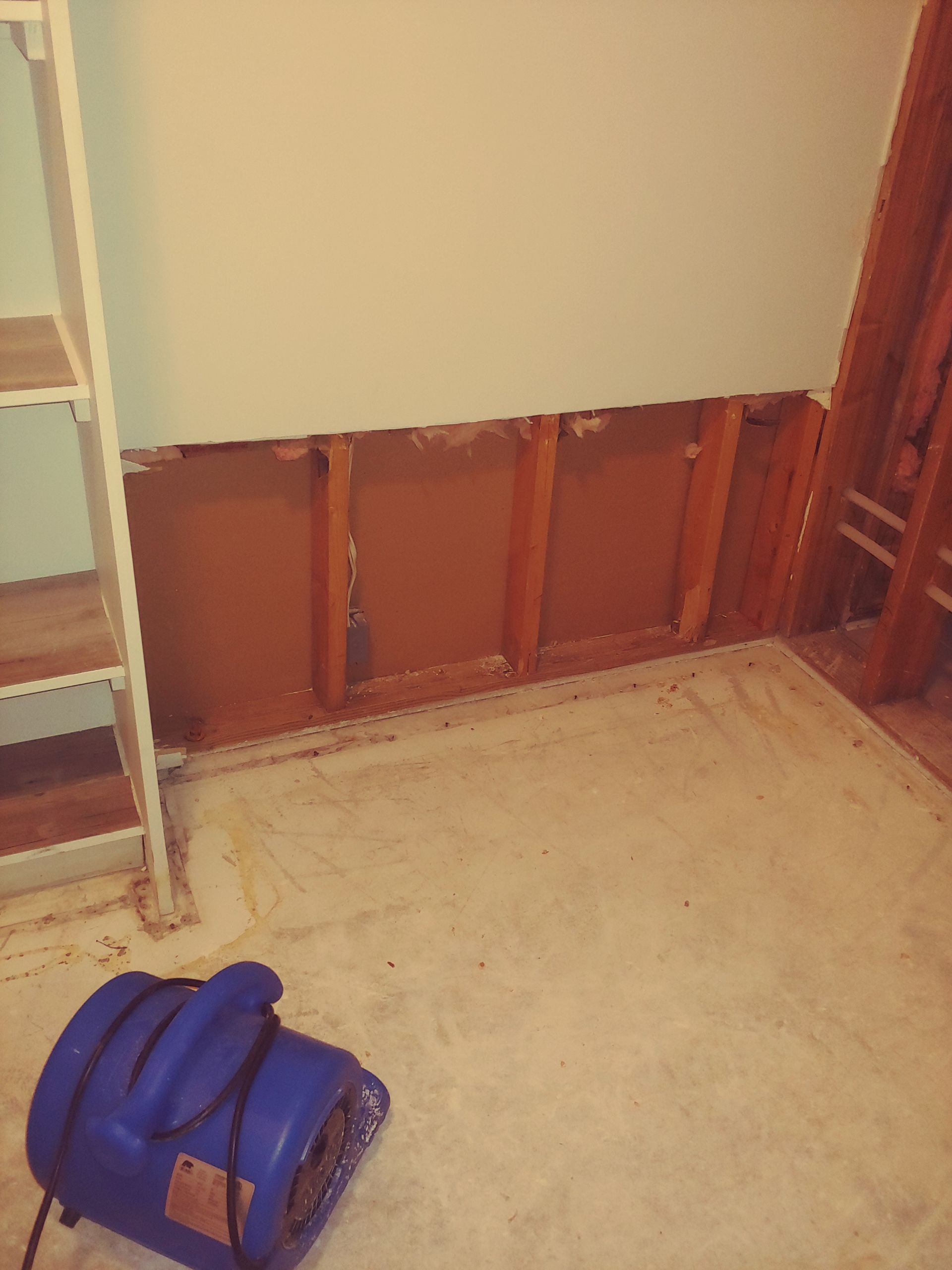 Basement wall with removed drywall, studs exposed, a blower fan on the floor.